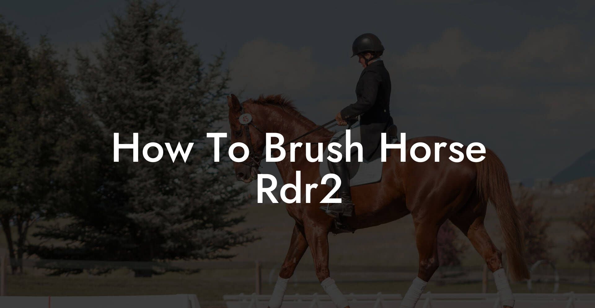 How To Brush Horse Rdr2