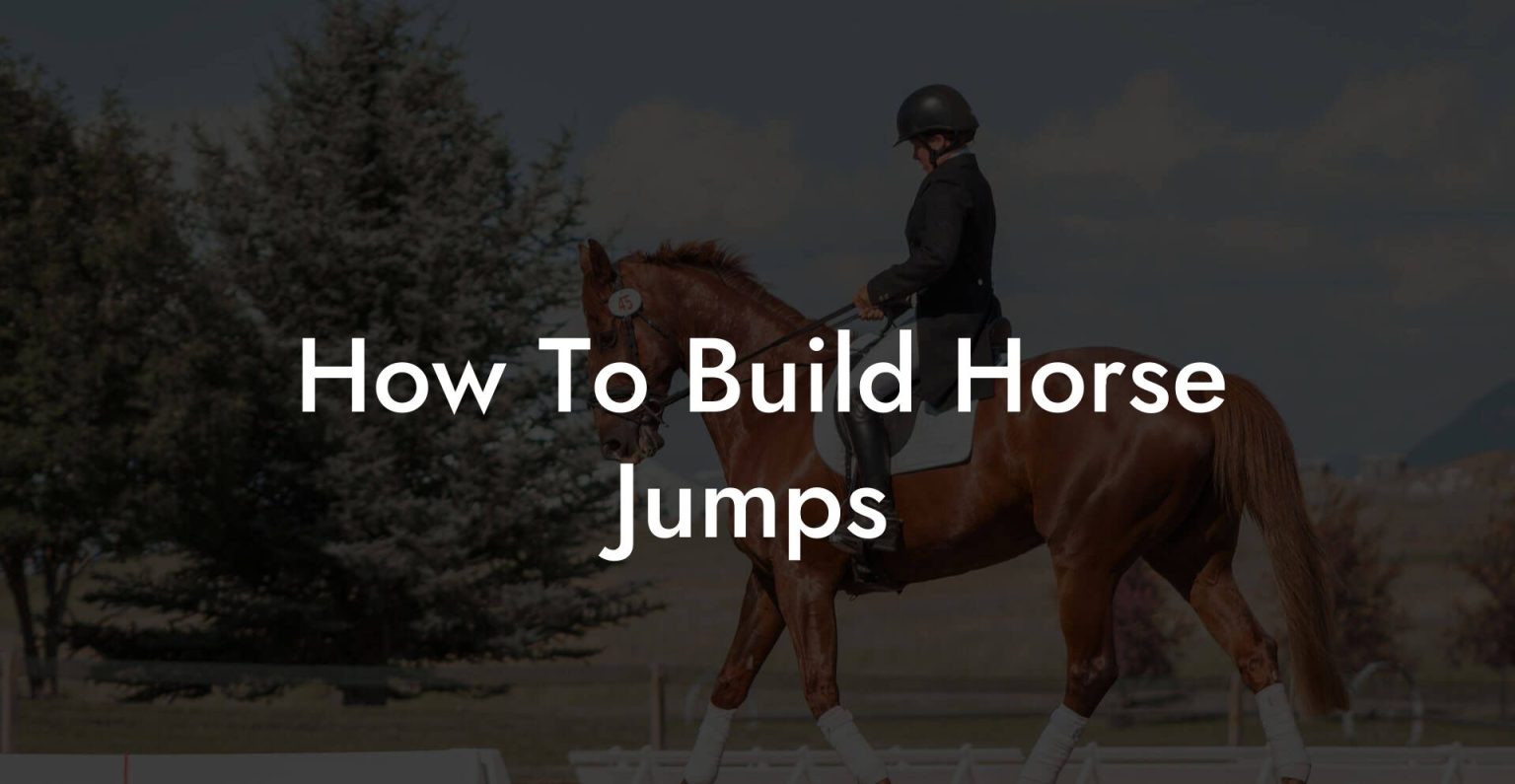 How To Build Horse Jumps How To Own a Horse