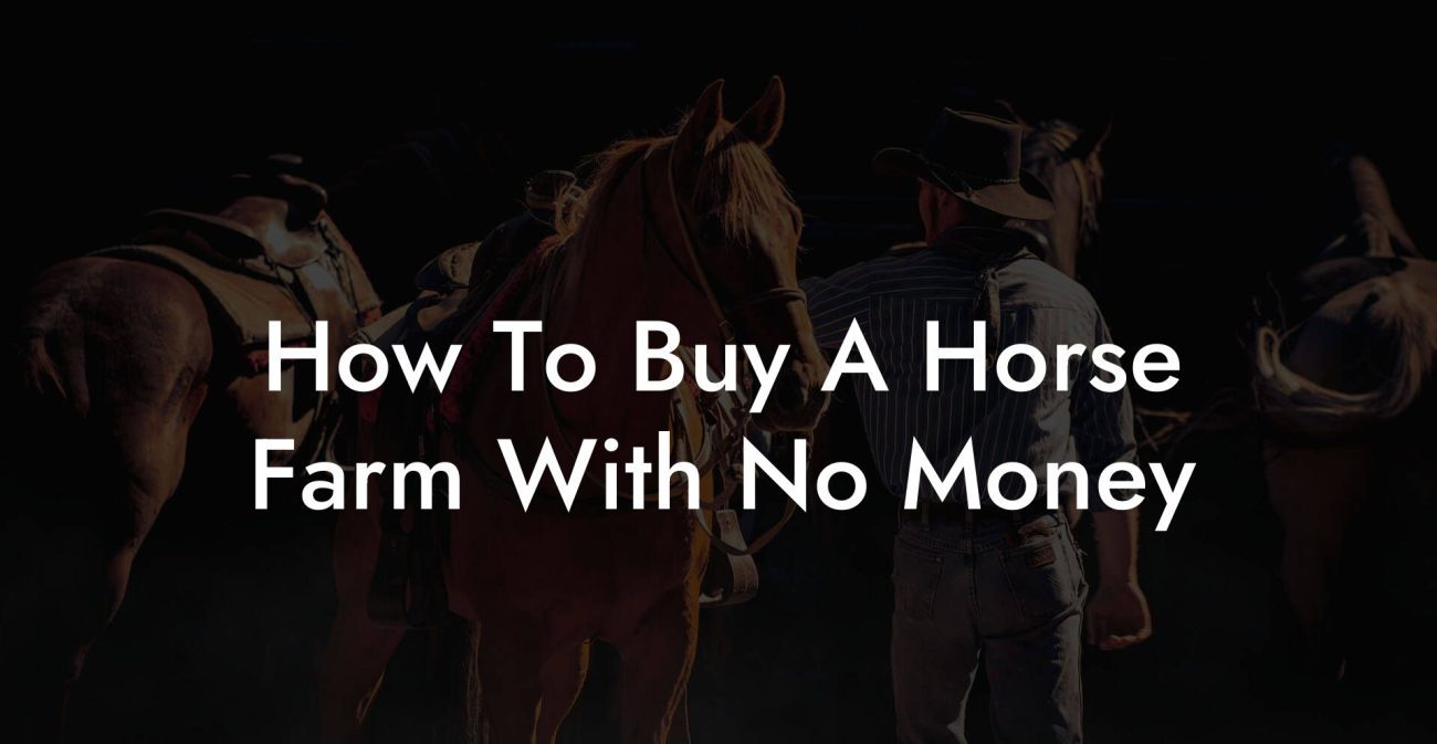 How To Buy A Horse Farm With No Money