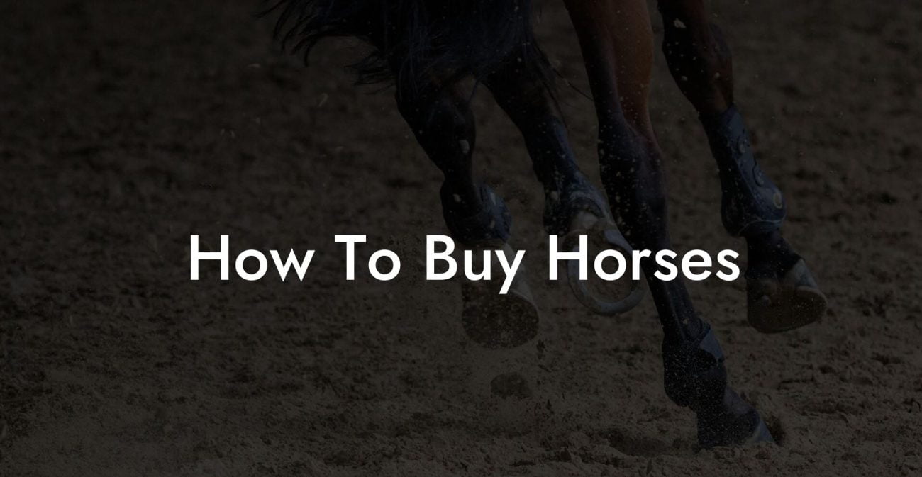 How To Buy Horses