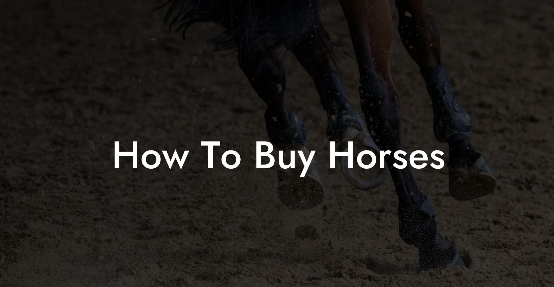 How To Buy Horses