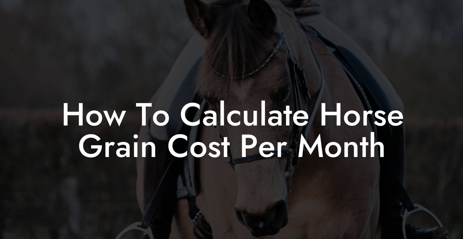 How To Calculate Horse Grain Cost Per Month