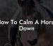 How To Calm A Horse Down