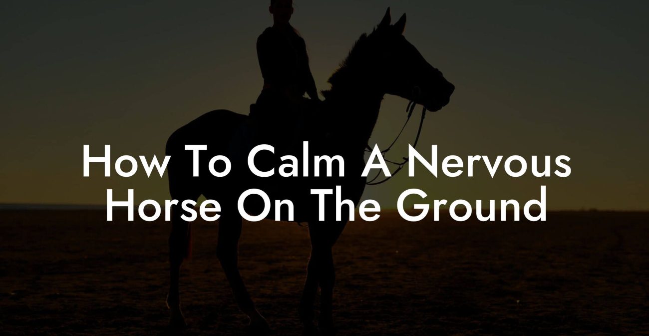 How To Calm A Nervous Horse On The Ground