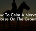 How To Calm A Nervous Horse On The Ground