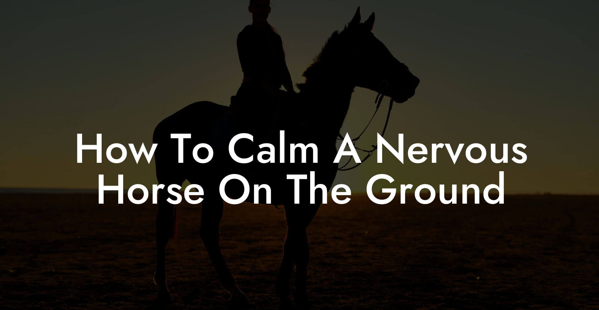 How To Calm A Nervous Horse On The Ground