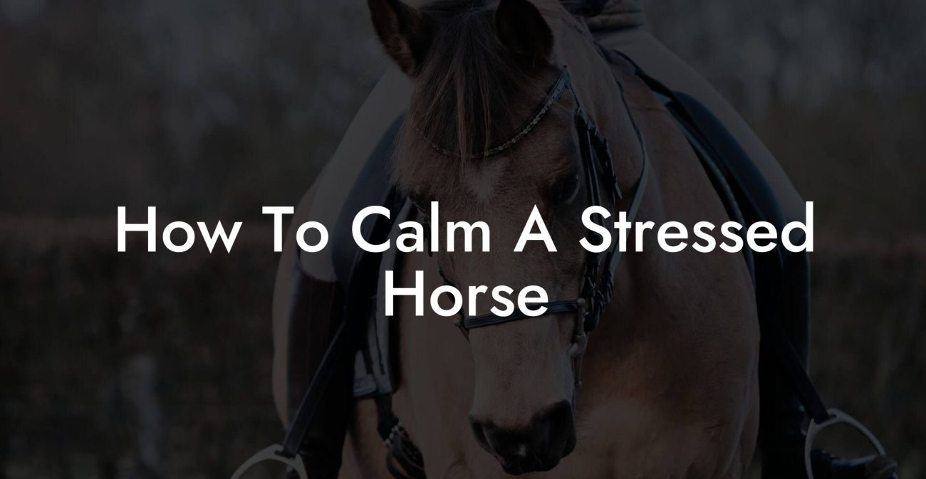 How To Calm A Stressed Horse