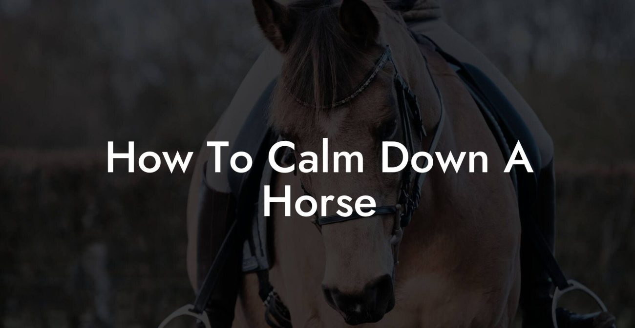 How To Calm Down A Horse