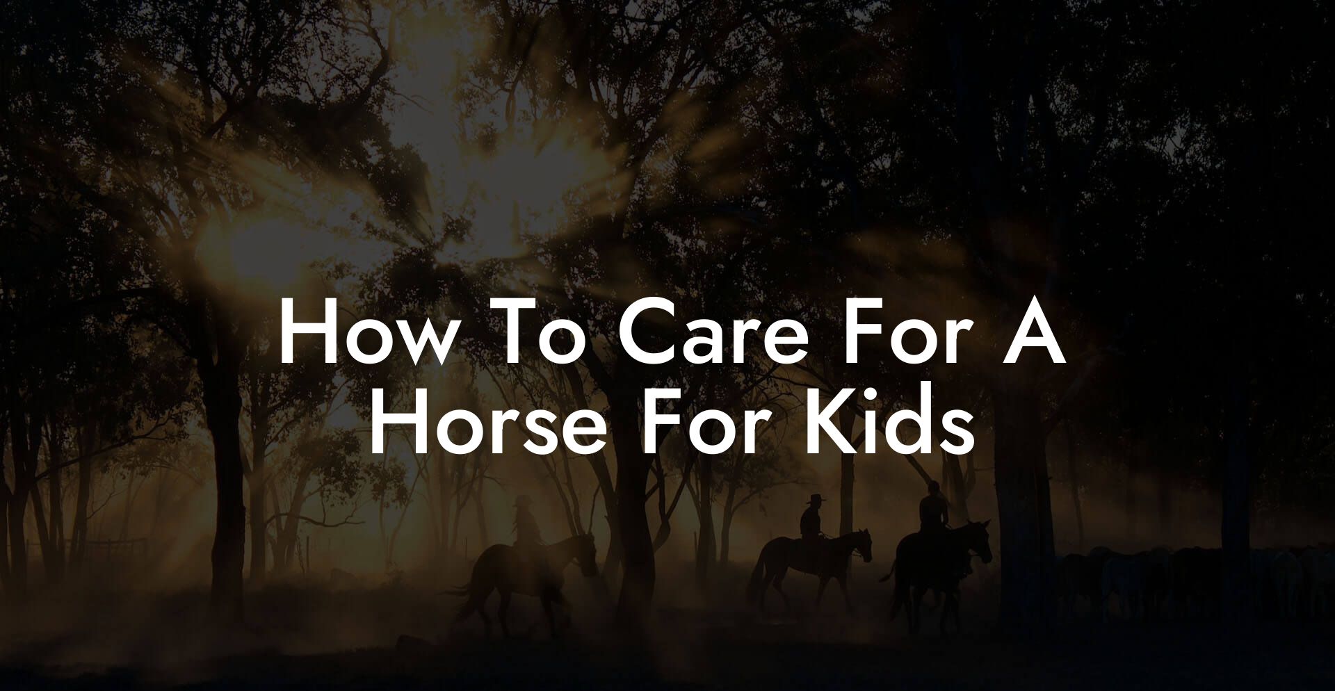 How To Care For A Horse For Kids