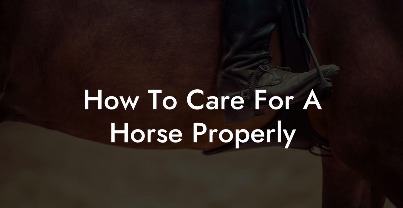 How To Care For A Horse Properly