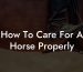 How To Care For A Horse Properly