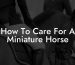How To Care For A Miniature Horse