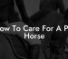 How To Care For A Pet Horse