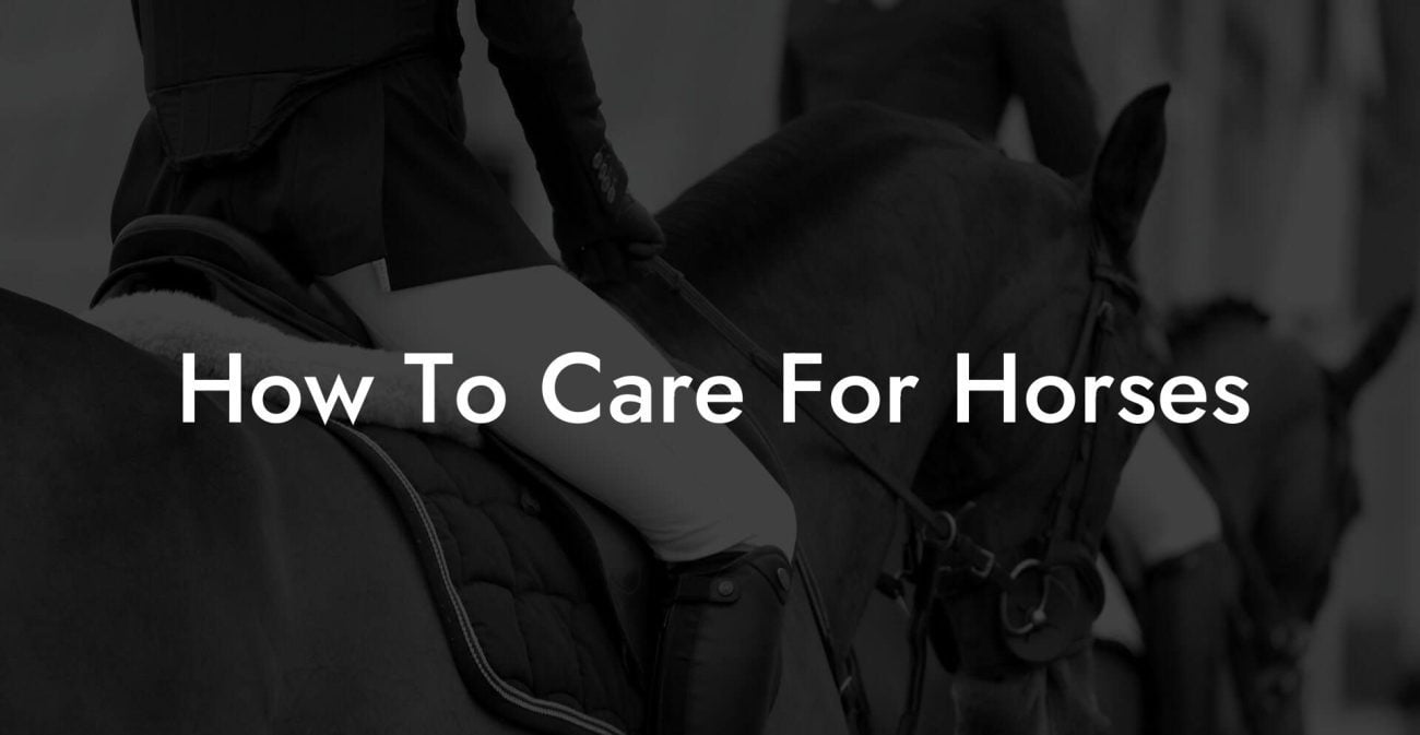 How To Care For Horses