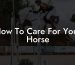 How To Care For Your Horse