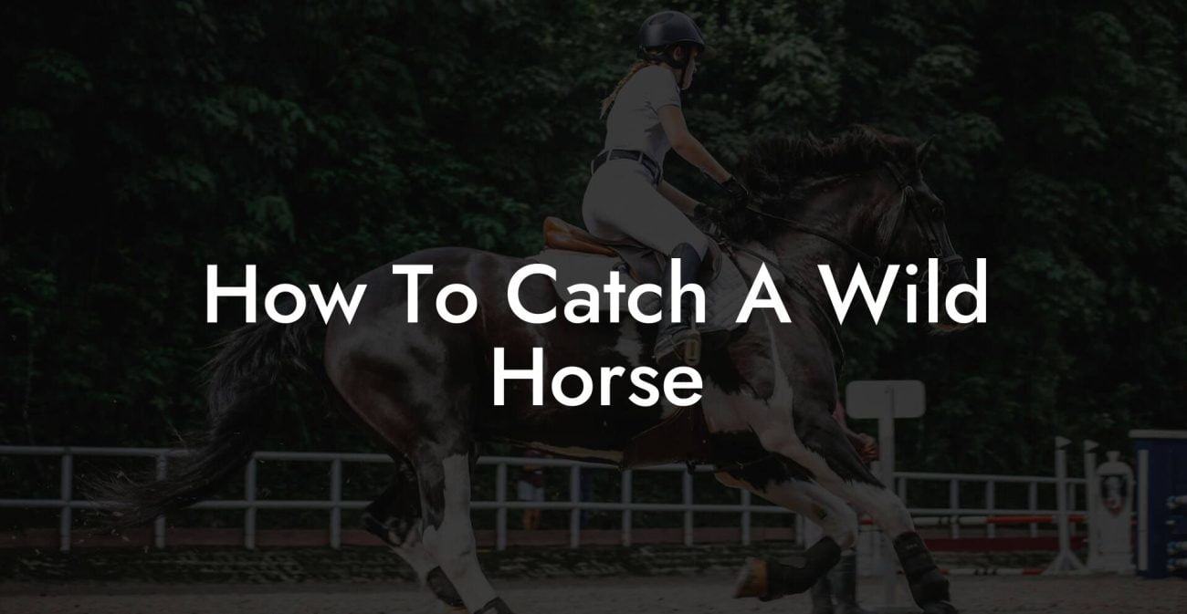 How To Catch A Wild Horse