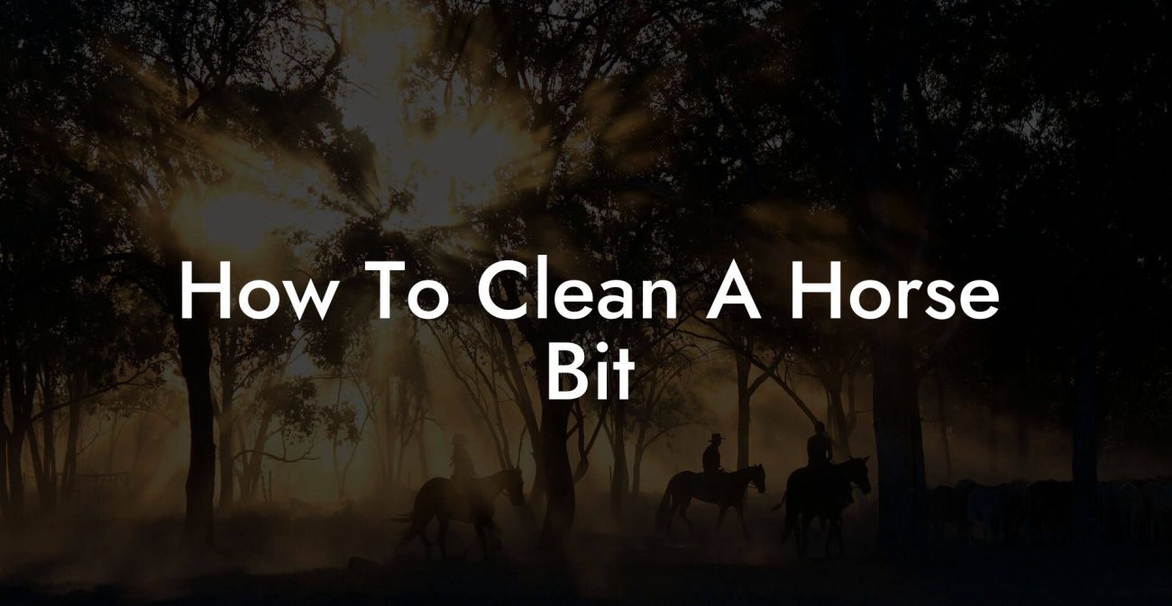 How To Clean A Horse Bit