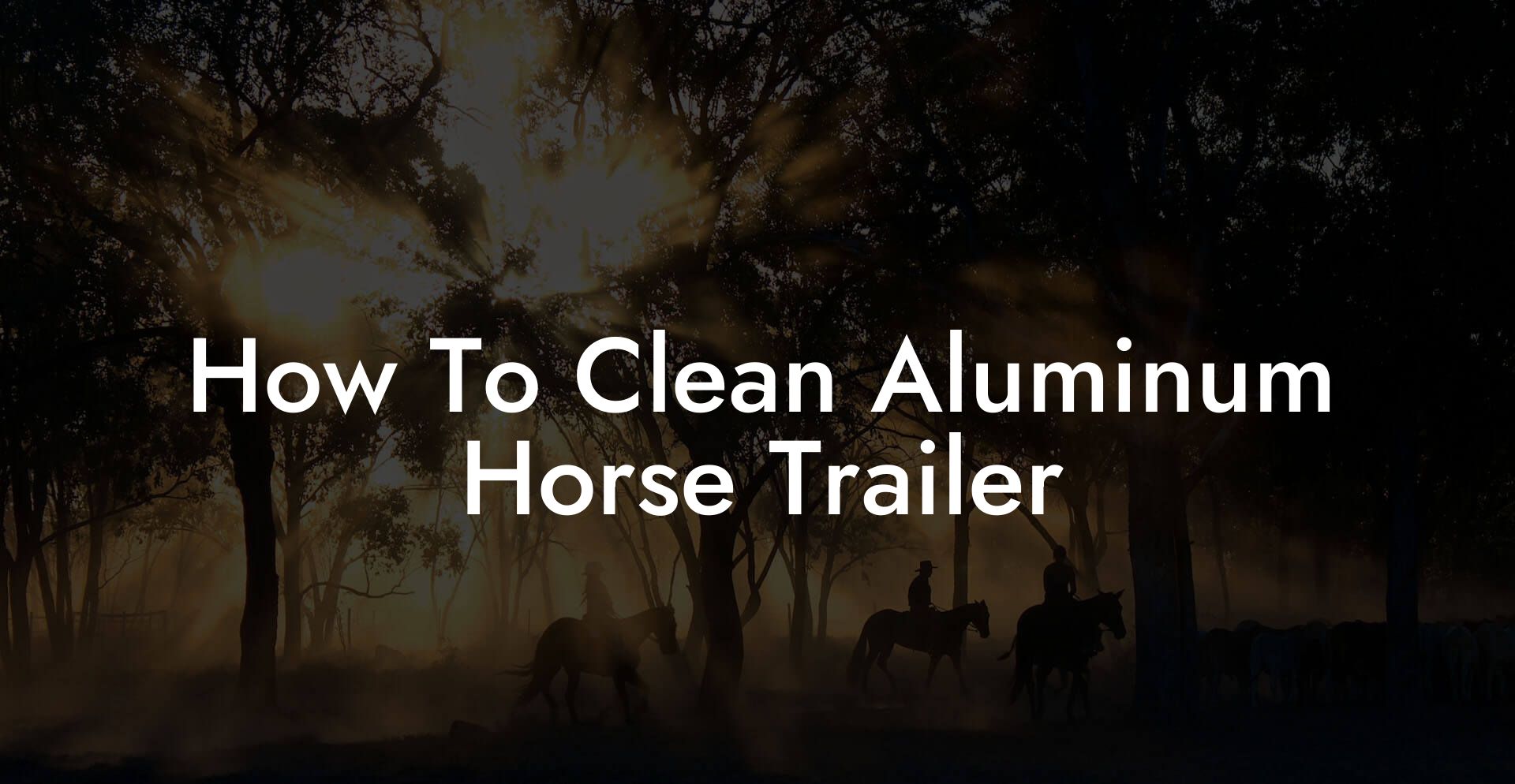 How To Clean Aluminum Horse Trailer