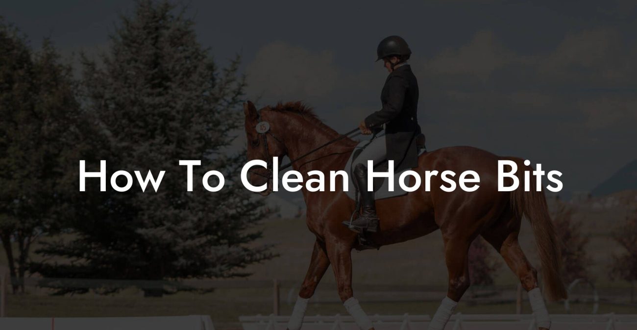 How To Clean Horse Bits