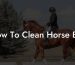 How To Clean Horse Bits