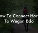 How To Connect Horse To Wagon Bdo