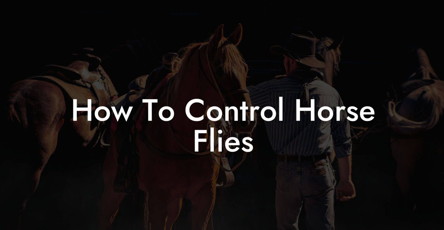 How To Control Horse Flies How To Own a Horse
