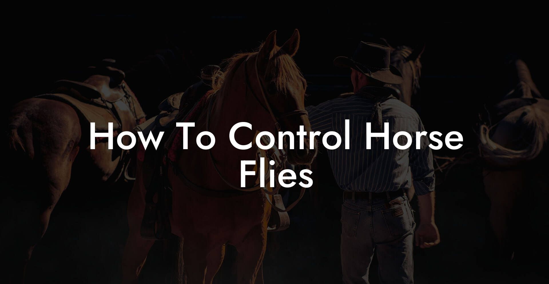 How To Control Horse Flies