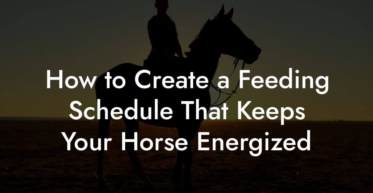 How to Create a Feeding Schedule That Keeps Your Horse Energized