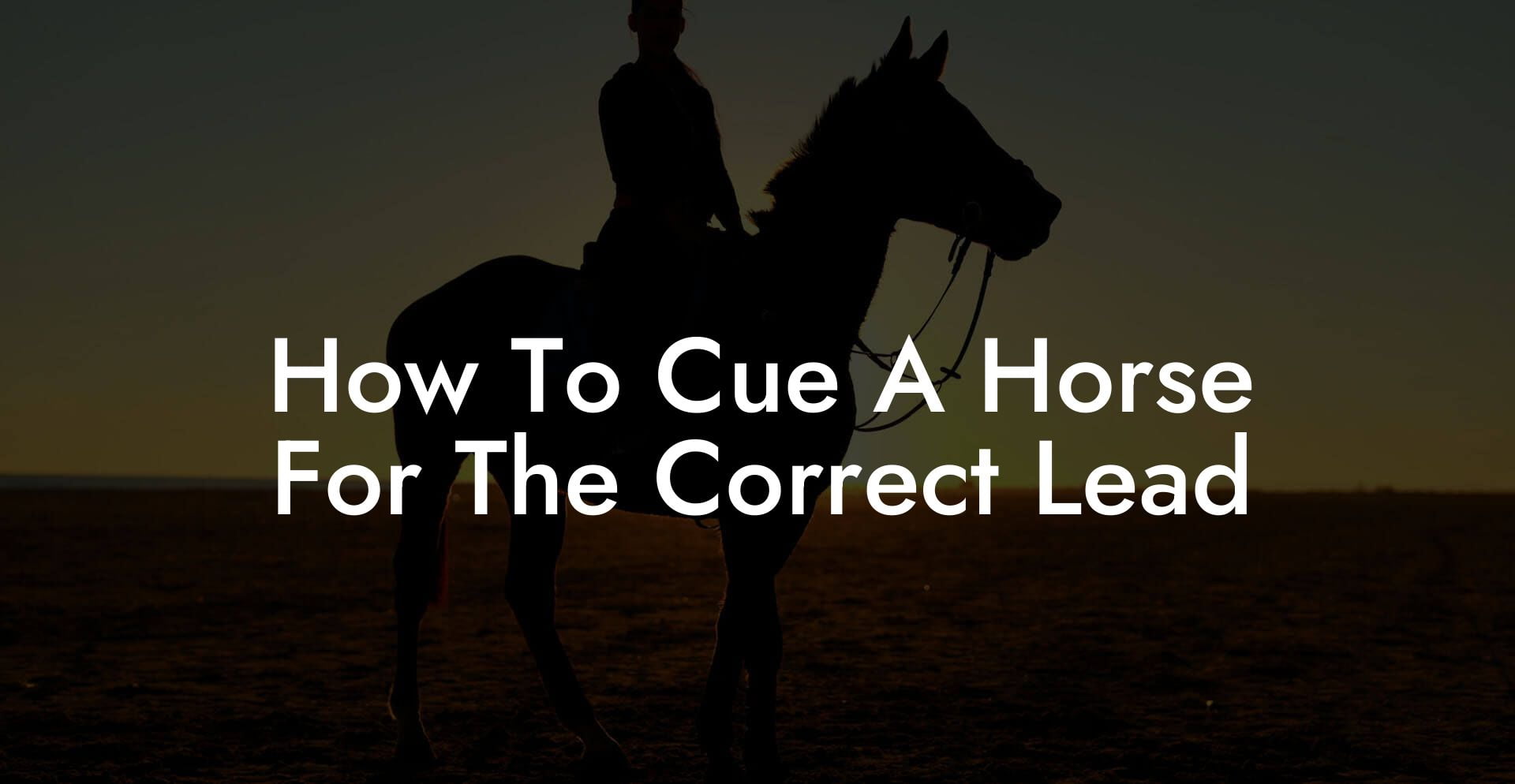 How To Cue A Horse For The Correct Lead