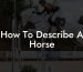 How To Describe A Horse