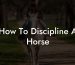 How To Discipline A Horse