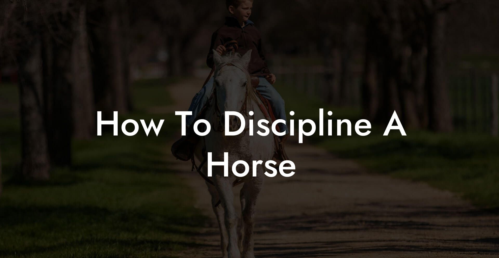 How To Discipline A Horse