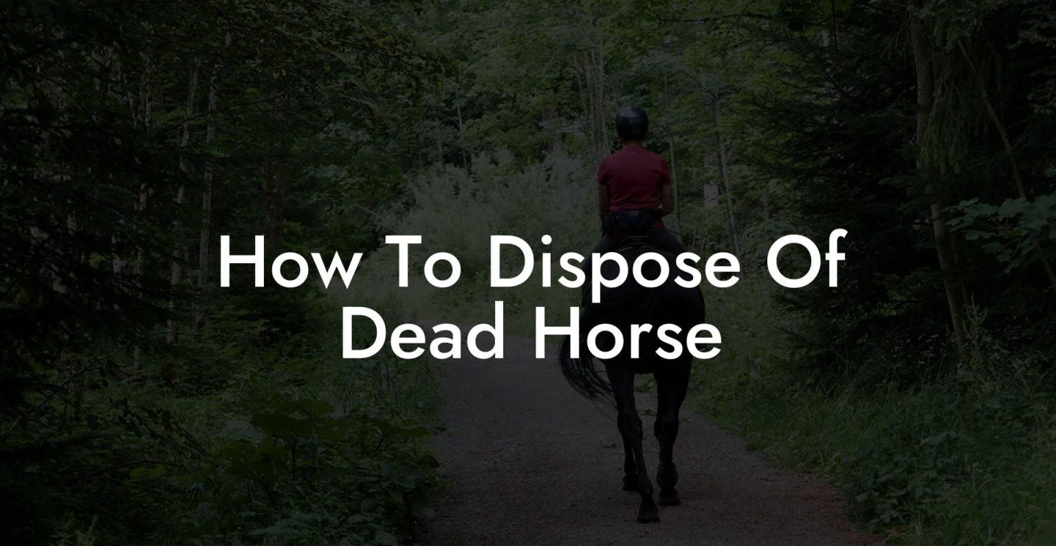 How To Dispose Of Dead Horse How To Own a Horse