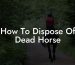 How To Dispose Of Dead Horse