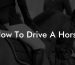 How To Drive A Horse
