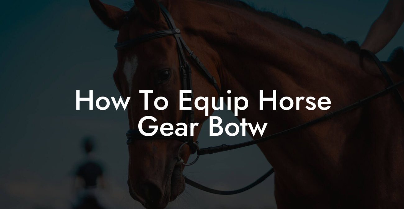 How To Equip Horse Gear Botw