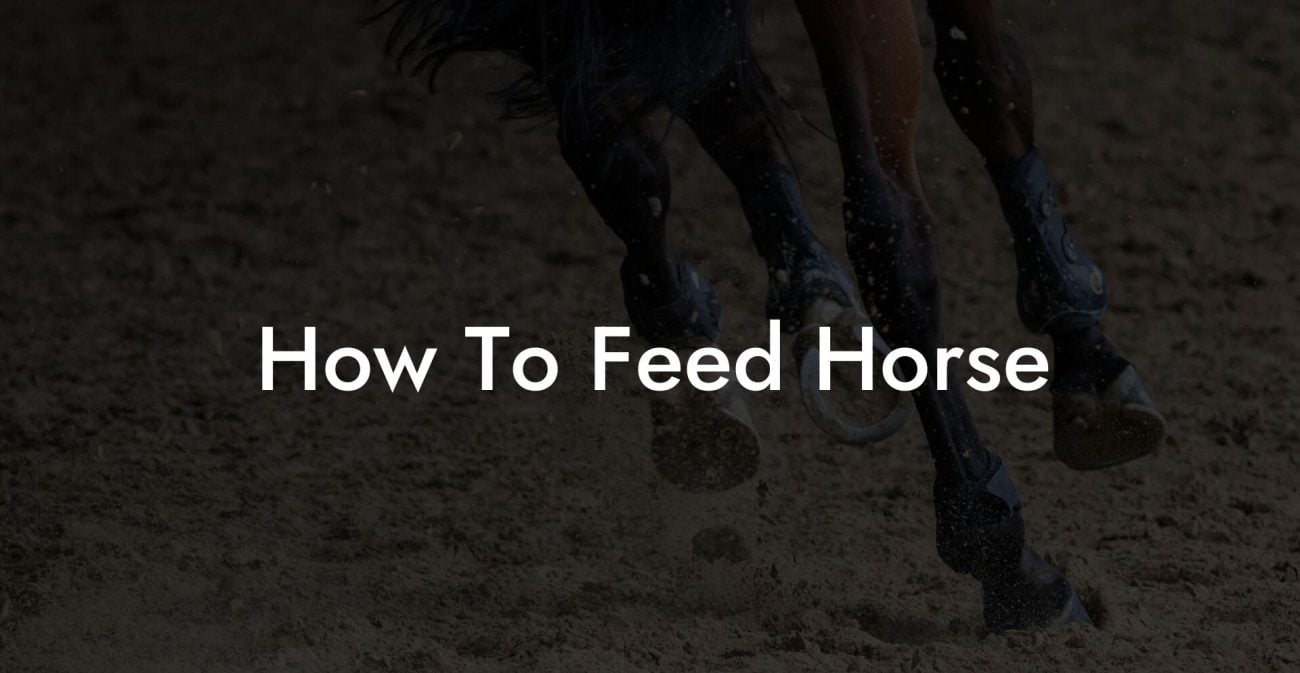 How To Feed Horse