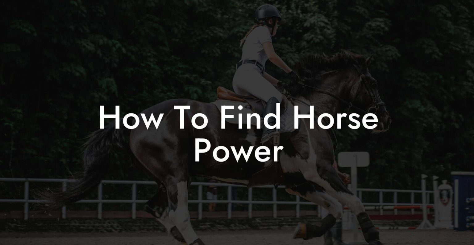 How To Find Horse Power How To Own a Horse