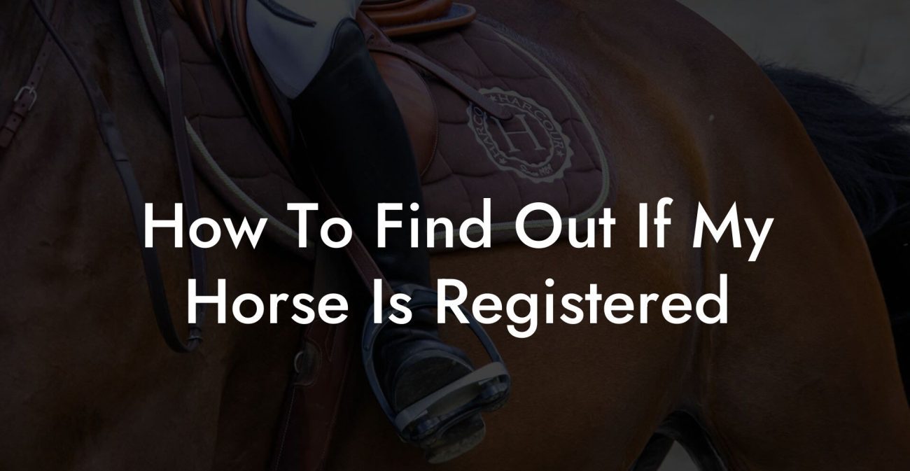 How To Find Out If My Horse Is Registered