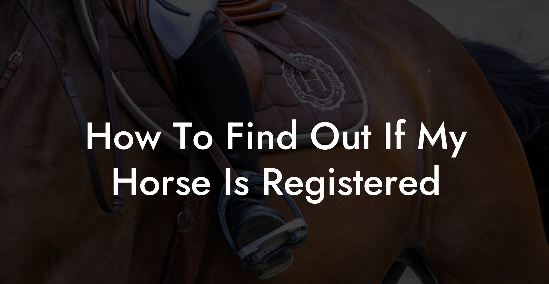 How To Find Out If My Horse Is Registered