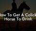 How To Get A Colicky Horse To Drink