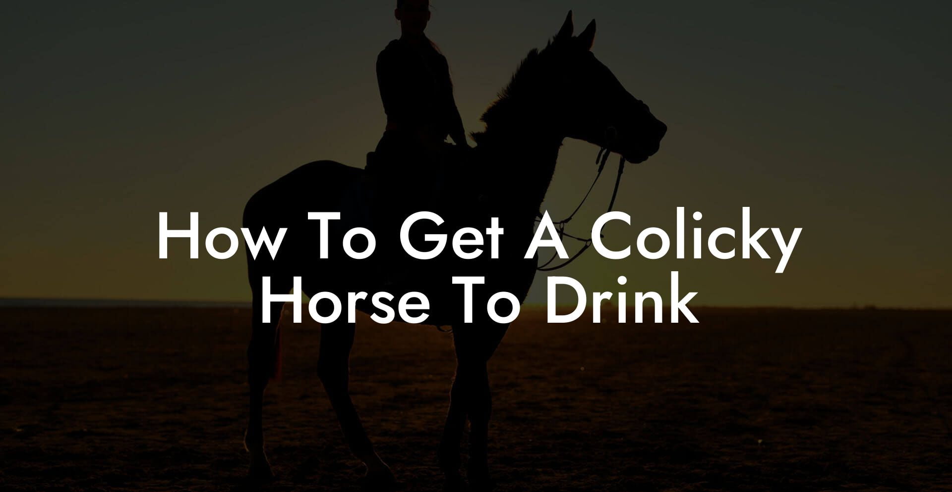 How To Get A Colicky Horse To Drink