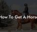 How To Get A Horse