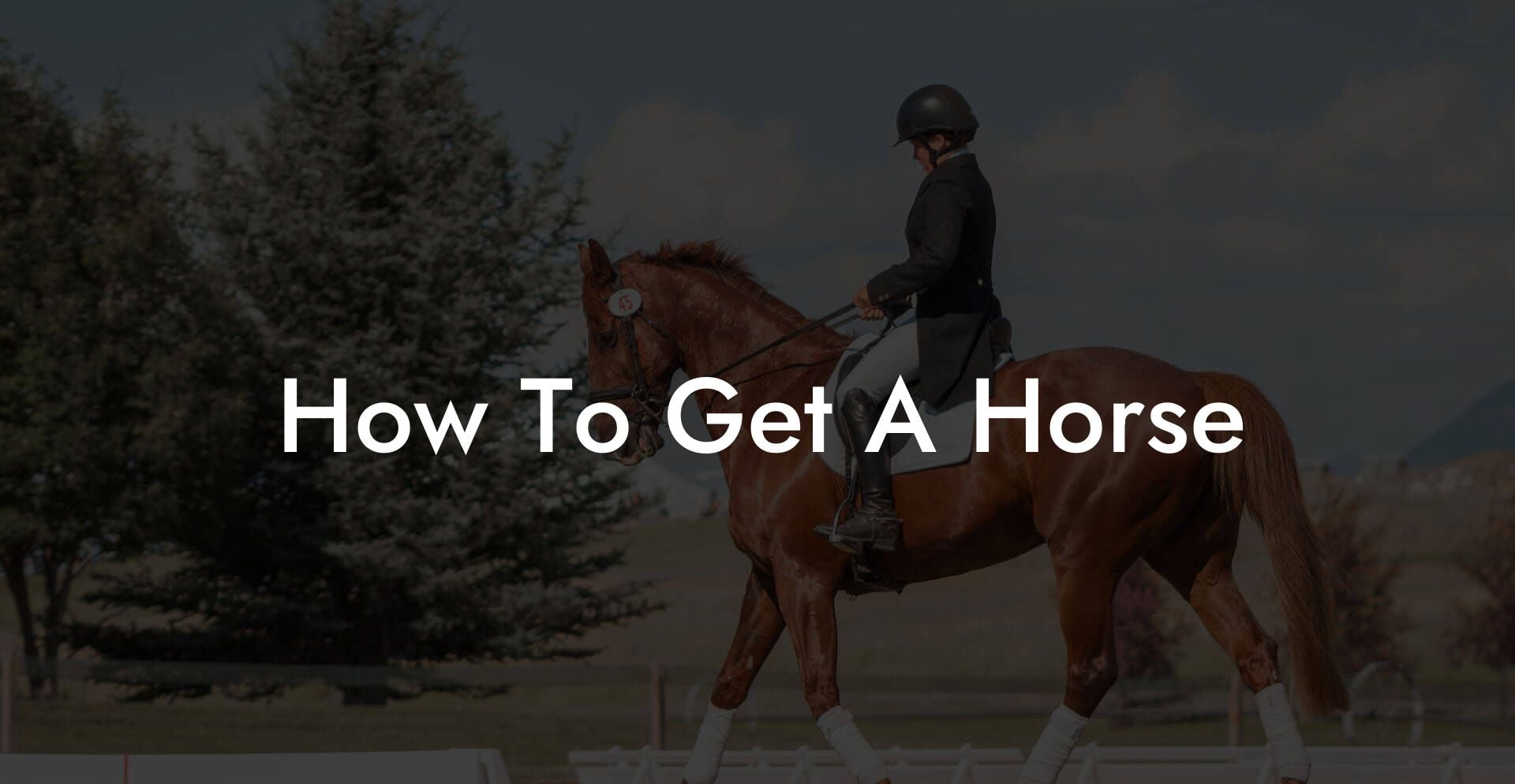 How To Get A Horse