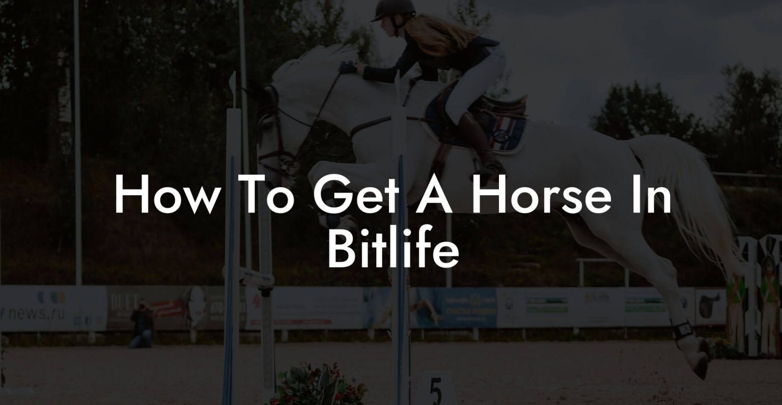 How To Get A Horse In Bitlife How To Own a Horse