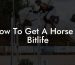 How To Get A Horse In Bitlife