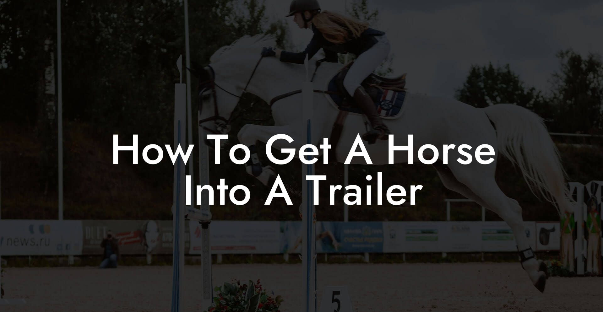 How To Get A Horse Into A Trailer
