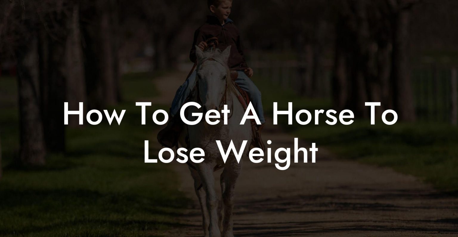 How To Get A Horse To Lose Weight How To Own a Horse
