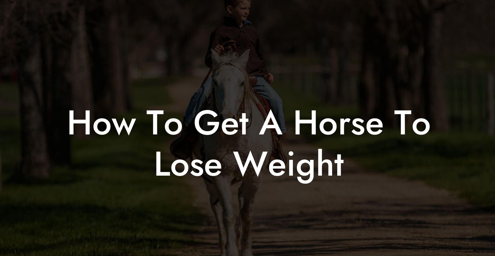 How To Get A Horse To Lose Weight