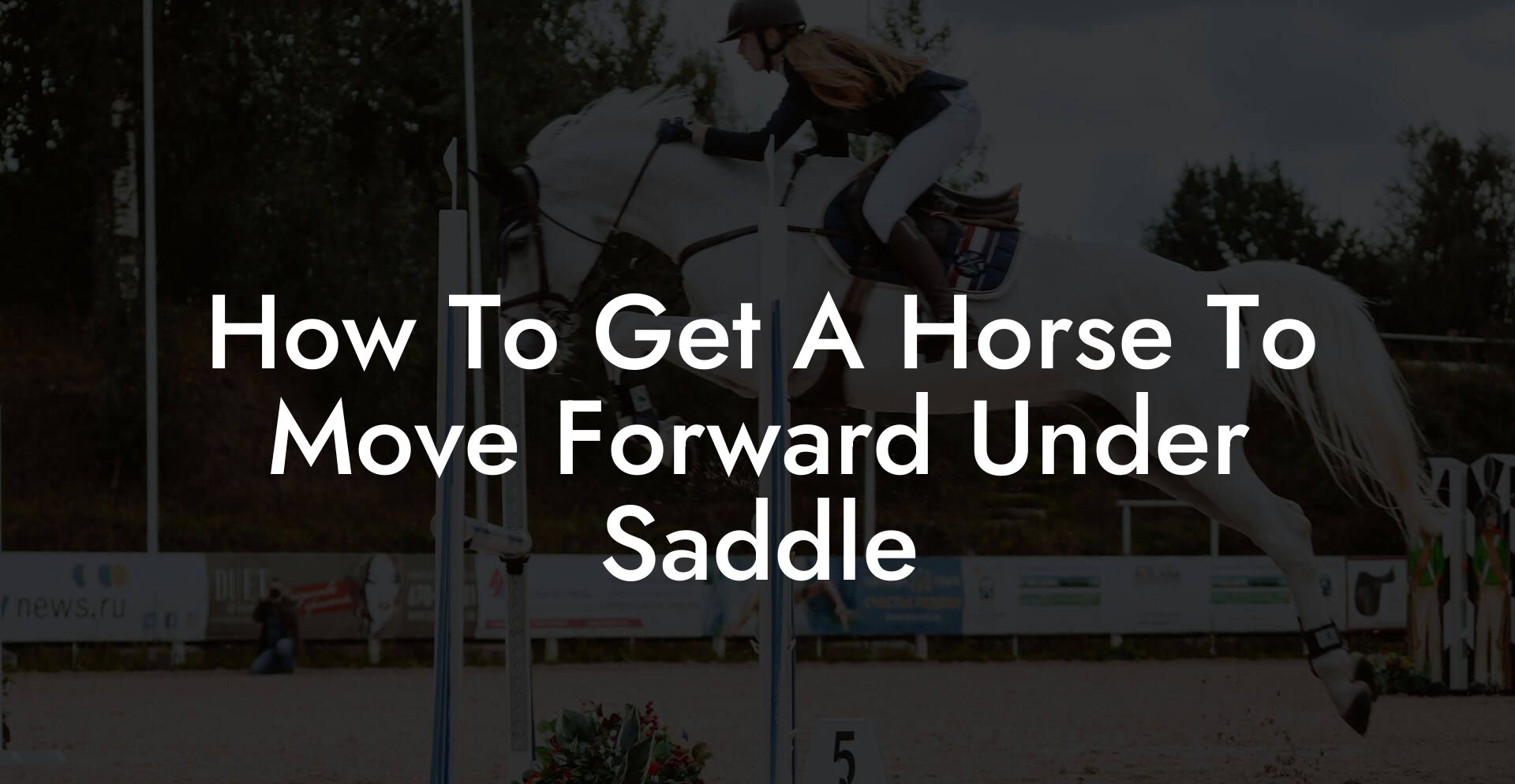 How To Get A Horse To Move Forward Under Saddle
